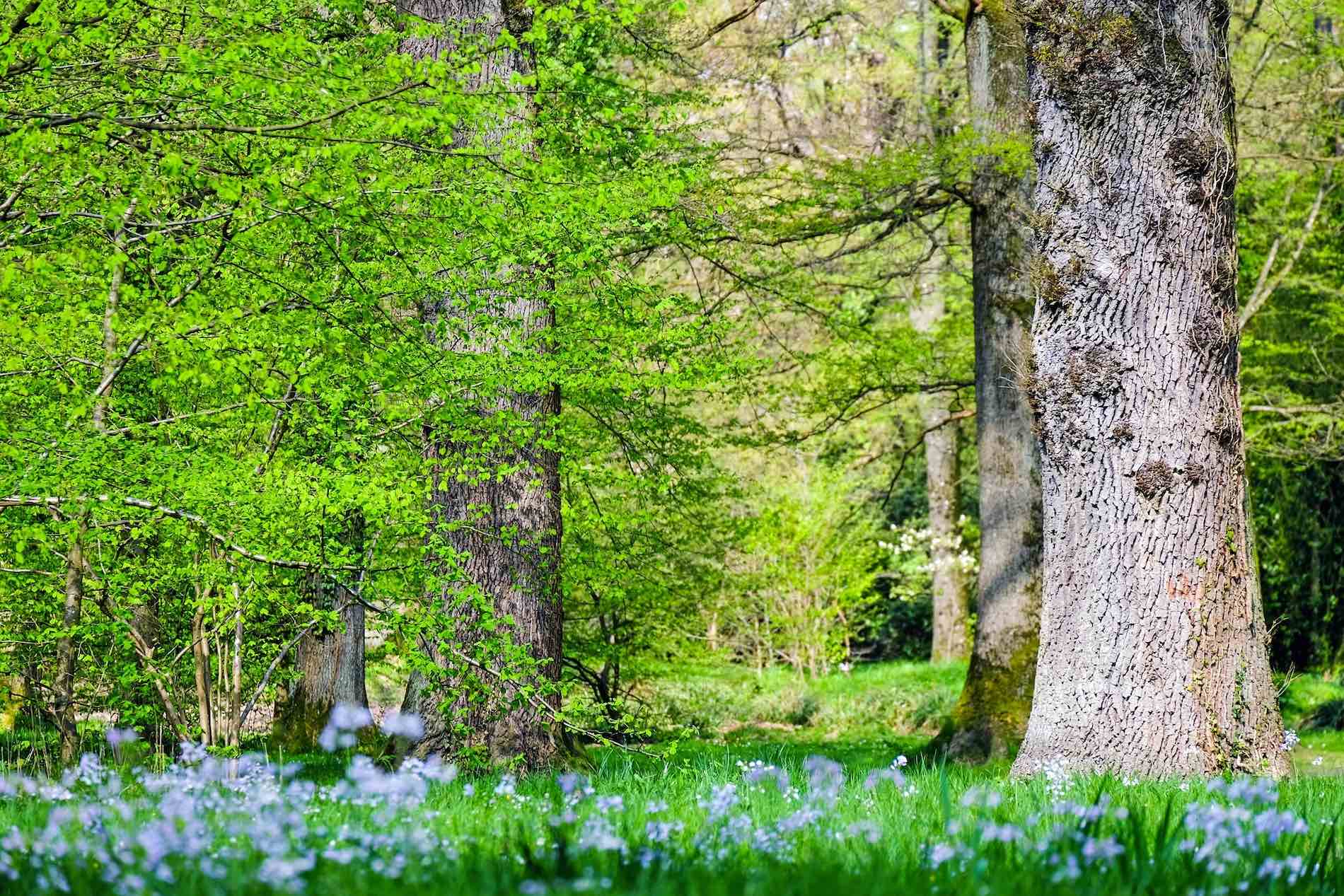 Nachhaltigkeit_Laufbekleidung_Headerbild